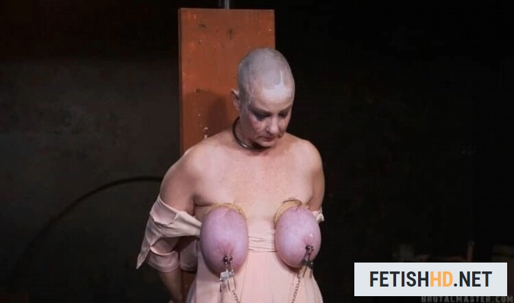 Filth Shaved Bald Bitch Torture (BDSM) [FullHD 1080p / 3.51 GB]