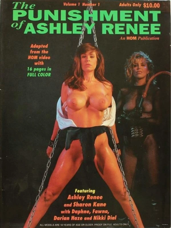 The Punishment Of Ashley Renee [SD / 403.8 MB]