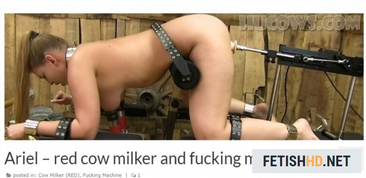 Ariel red cow milker and fucking machine (BDSM) [FullHD 1080p / 1.01 GB]