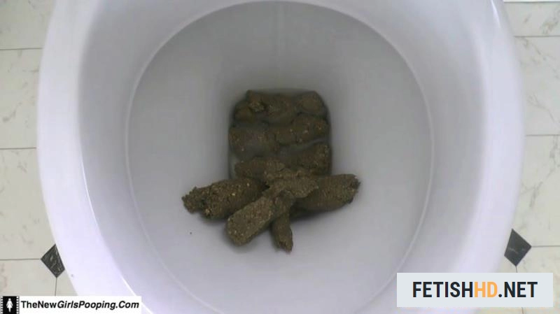 ShitGirl - Toilet Destroyed In 5 Mins (Scat) [FullHD 1080p / 471 MB]