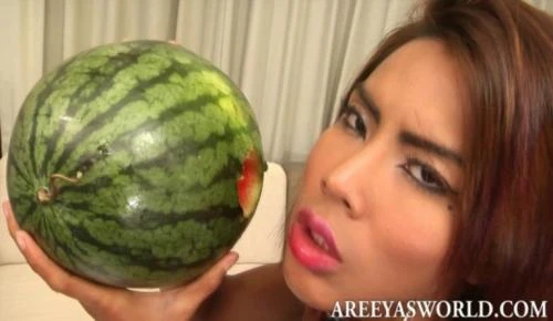 Areeya's World - Dildo Melon (Transsexual) [HD 720p / 535.5 MB]