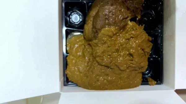 Poop in a cardboard box (Scat) [FullHD 1080p / 2.16 GB]