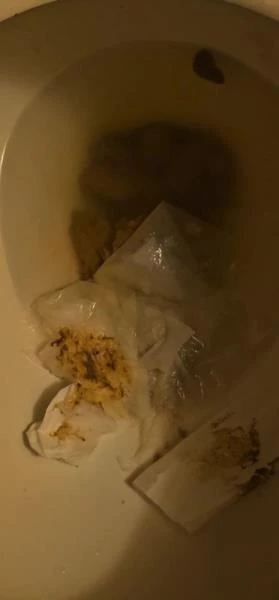 Flushes shit down the toilet (Scat) [UltraHD 4K / 9.00 MB]