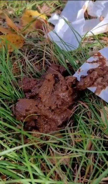 I eat someone elses shit in the woods [SD / 115.43 MB]