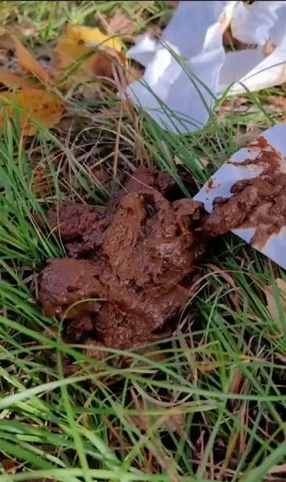 I eat someone elses shit in the woods [SD / 115.43 MB]