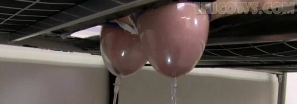 Vina udder expansion [FullHD 1080p / 1 GB]