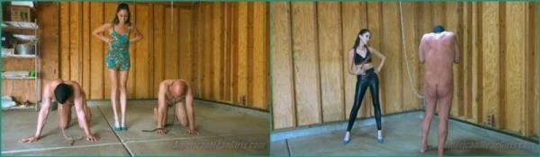 Princess Beverly - Whipping My Horses [FullHD 1080p / 1.37 GB]