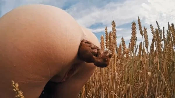 HUGE Summer Field Poop (Scat) [HD 720p / 24.0 MB]