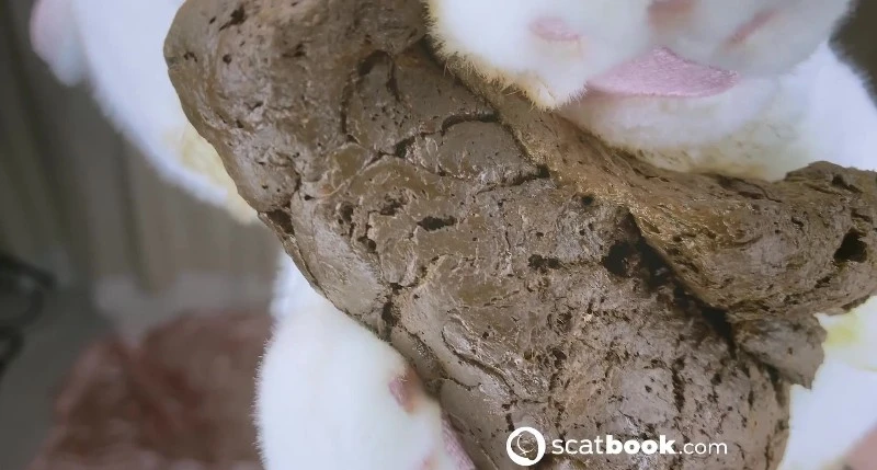 Tea Party and the Sweets [FullHD 1080p / 221.24 MB]