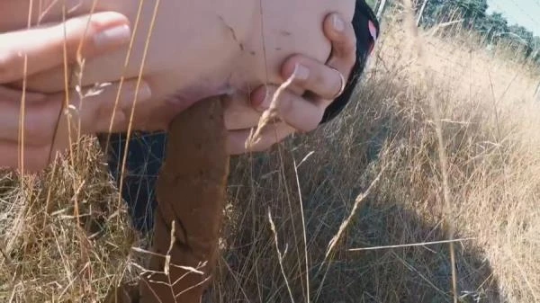 Highway Pooping (Scat) [HD 720p / 35.0 MB]