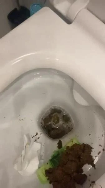 Daily portion of shit for my bitches (Scat) [SD / 12.2 MB]