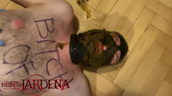 Masacrated bitch on first toilet session (Scat) [HD 720p / 72.7 MB]