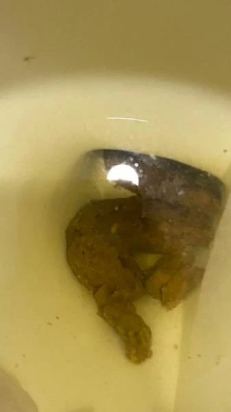 Shitting On The Bathroom Floor At Work (Scat) [SD / 347 MB]