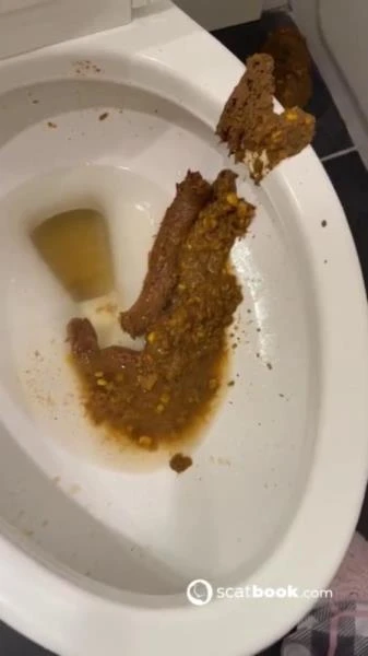 Bossys Bathroom Blunder A Splattered Catastrophe (Scat) [SD / 9.86 MB]