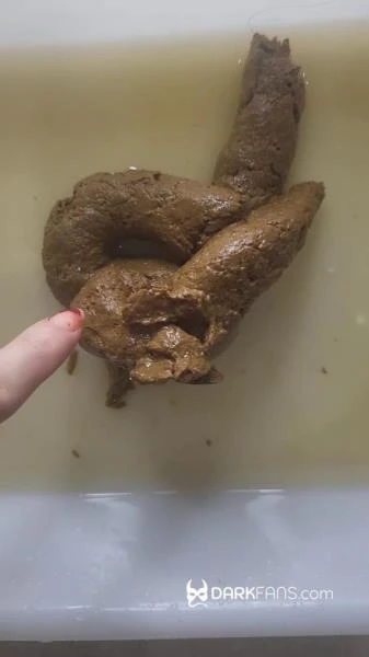 Toilet Pov - Hoy He Hecho Este Delicioso Pastel De Mierda (Scat) [UltraHD 2K / 66.2 MB]