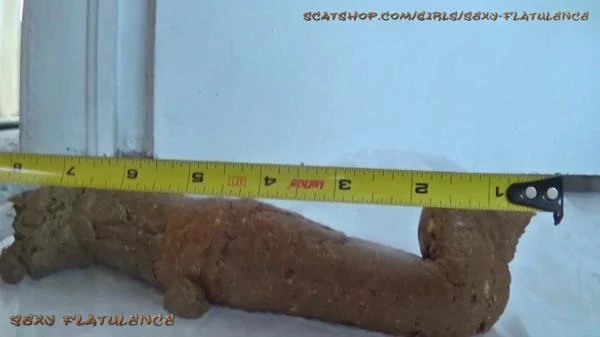 Monster Log (Scat) [FullHD 1080p / 257 MB]
