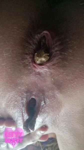 Festival Constipation (Scat) [SD / 517 MB]