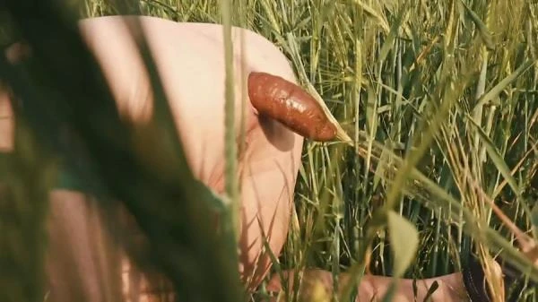 Doggystyle Shit In a Field (Scat) [HD 720p / 36.0 MB]
