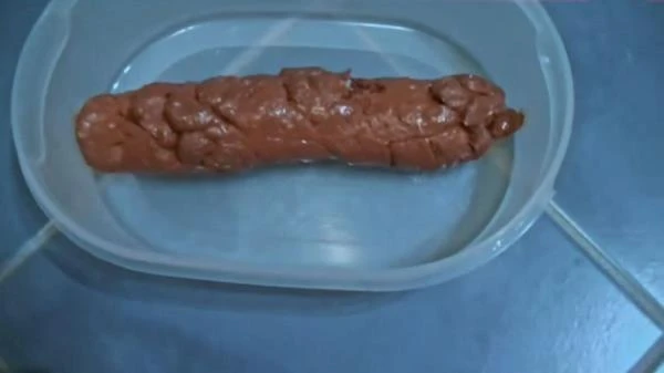A Shit For a Fan (Scat) [HD 720p / 17.4 MB]