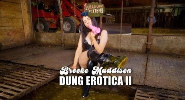 Scat Dung Erotica 2 (Scat) [HD 720p / 971.5 MB]
