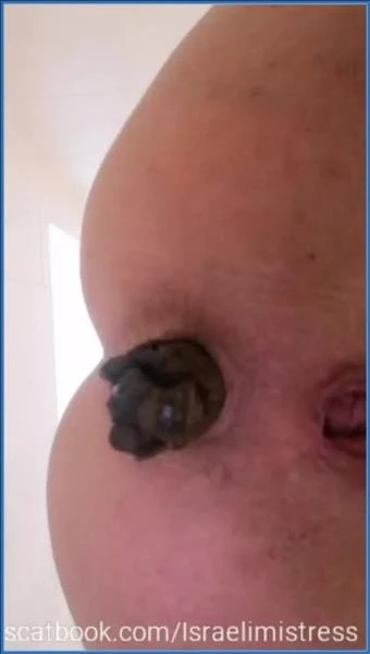 Lie down and open your disgusting mouth pig [SiteRip / 10.39 MB]