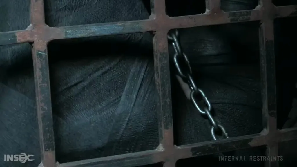 INFERNAL RESTRAINTS - Cora Moth's Kinky Pet Play HD 720p - Fetish Porn Video on FetishHD