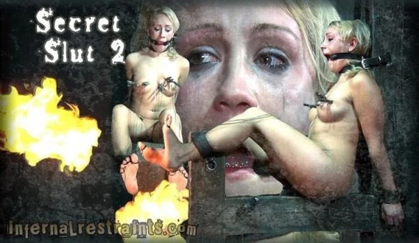 March 25, 2011 Secret Slut 2 Sophie Ryan, Damon Pierce [HD 720p / 460.8 MB]