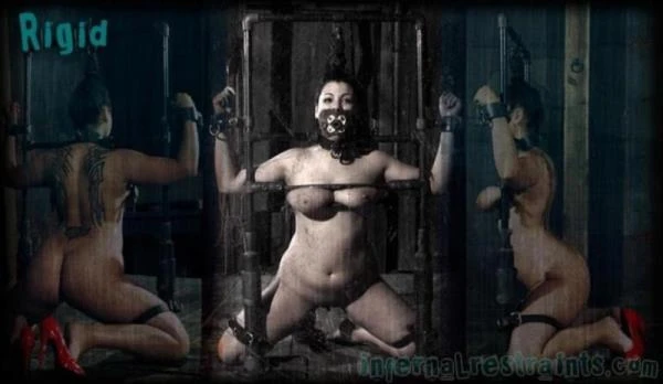 Dana Vixen - Rigid Part One [HD / 444.5 MB]